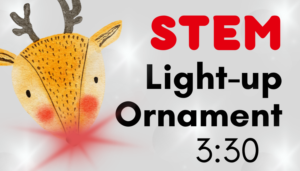 Light-up Ornament - Stem Event