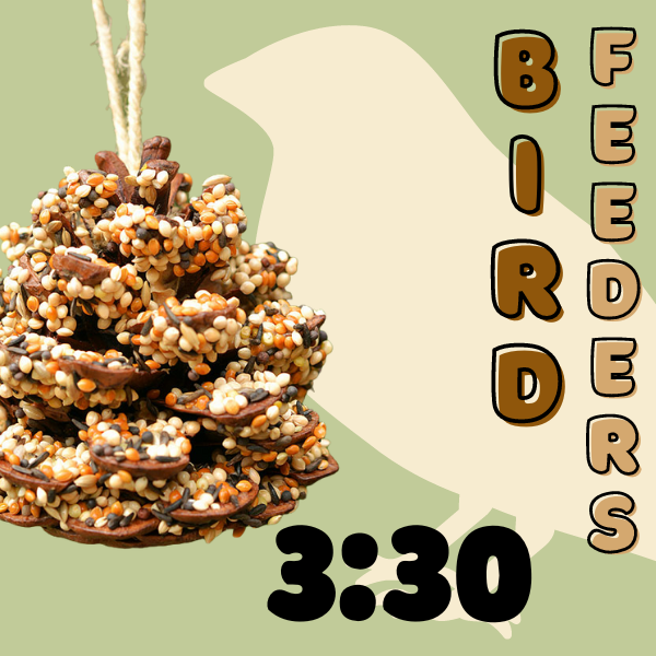 Bird Feeder Craft