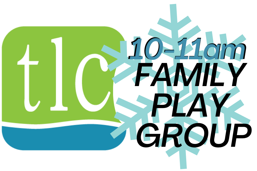 Family Play Group